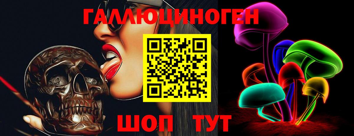 Майкоп  Галлюциногенные грибы Magic Shrooms  продажа наркотиков  Вход с VPN 
