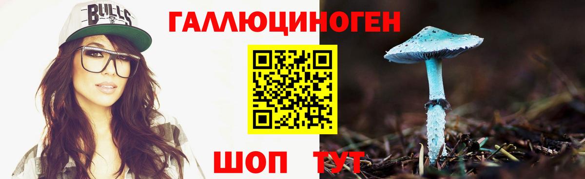 Галлюциногенные грибы мухоморы Майкоп